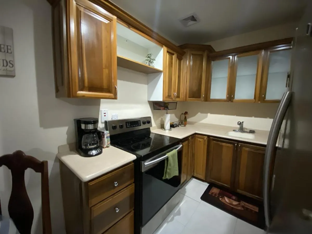 Serenity Condo In New Kingston Business District Apartment